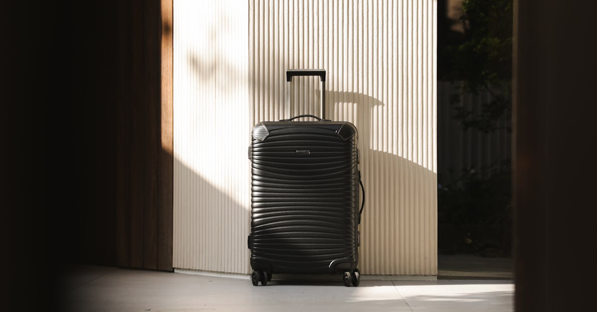 Cover image for Spinner vs Roller Luggage: Which Lasts Longer?