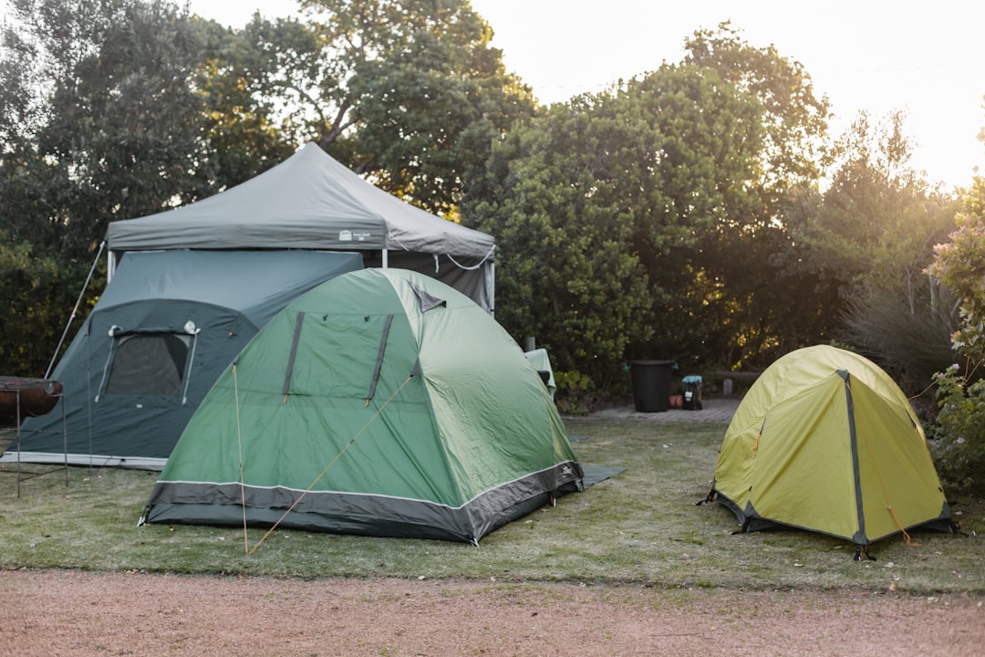 Cover image for The Ultimate Guide to Eco-Friendly Camping Gear for 2025
